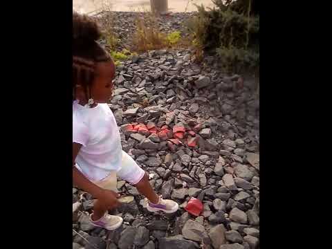 Daughter Dailyvlogging Construccion Constructionsite Foryourpage Constructionwork Rock Fypp