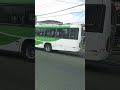 Dois Onibus E Varios Carros