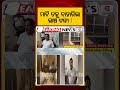 Rayagada RDW Executive Engineer Arrested By Vigilance; Swimming Pool On Roof Found | Argus News