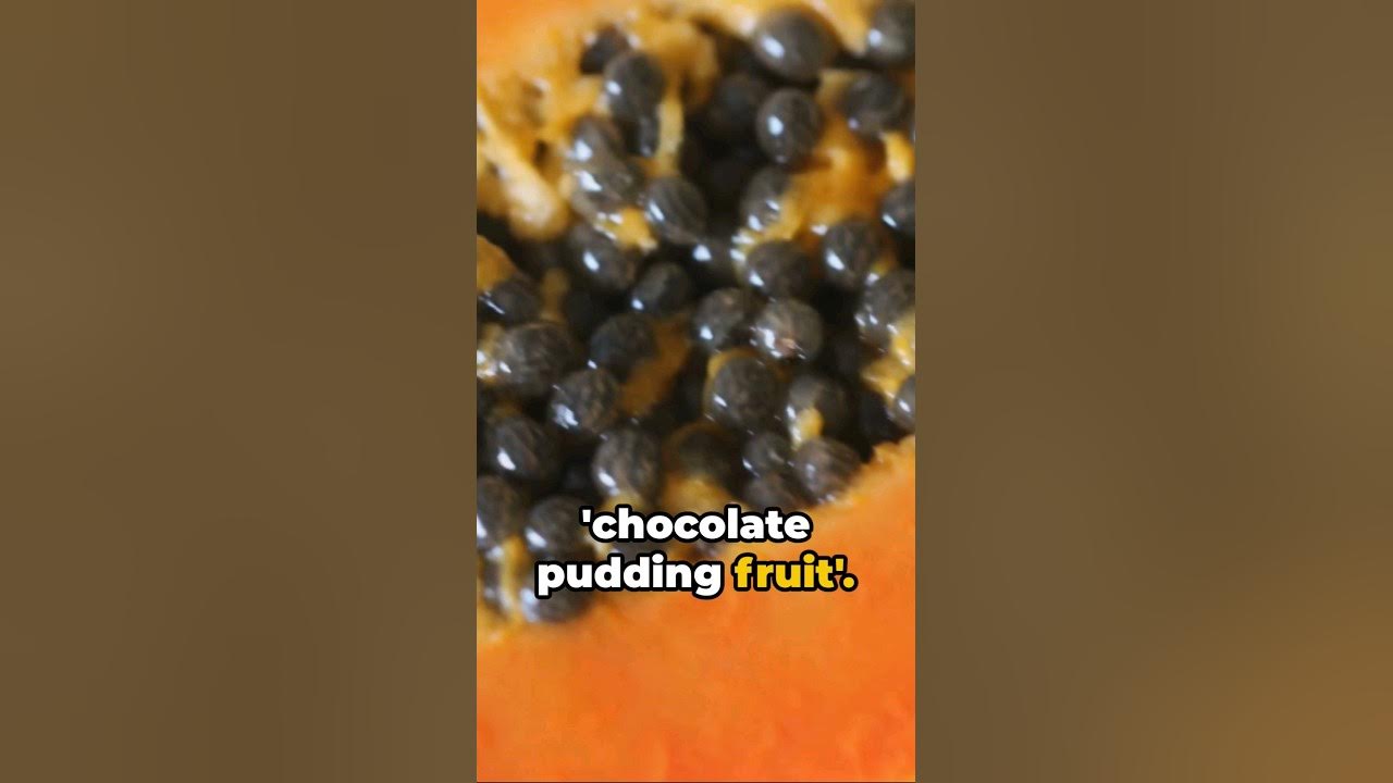 The black sapote the fruit that tastes like chocolate pudding 