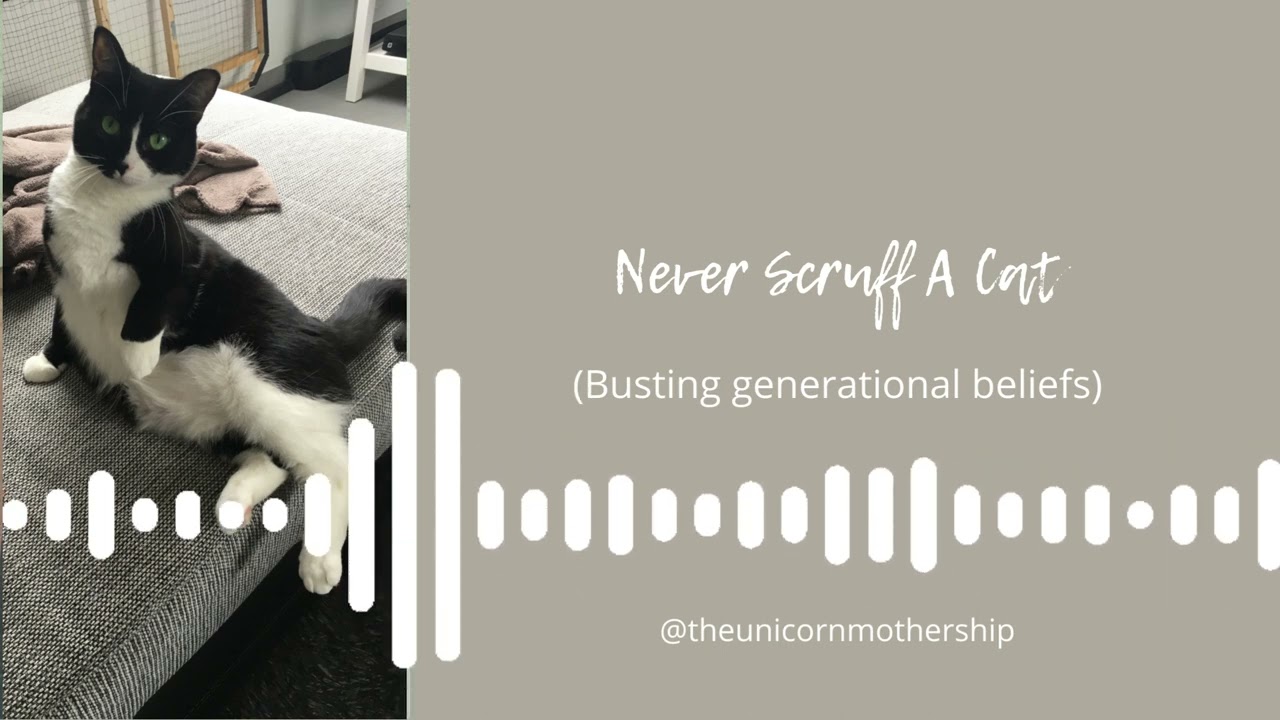Never scruff a cat (busting generational beliefs)