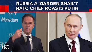 On Cam Nato Chief Mocks Russia Over Ukraine Losses Mighty Bear Moving At Garden Snail Speed