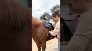 Do the little things right part 2 #horse #equestrian #horsegirl #horsemanship #saddles