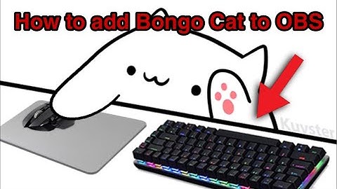 HOW TO ADD Bongo Cat Face Cam tutorial in Streamlabs OBS or OBS studio