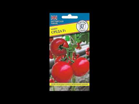 Самый лучший томат