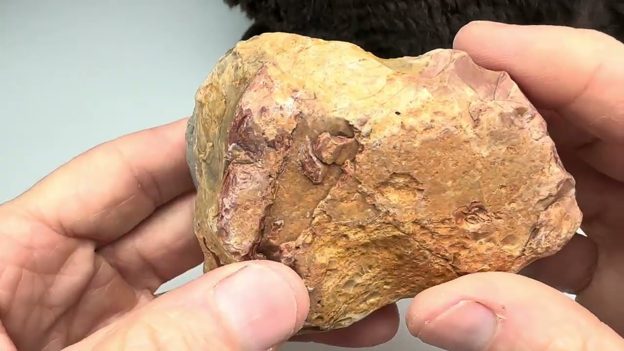 Slabbing and Cabbing New Mexico “Picture” Jasper