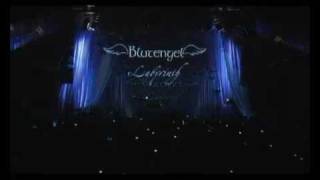 Blutengel - Intro/Singing Dead Men Live