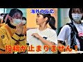 京都橘高校マーチングバンド 海外から続々届く最新の感動コメント kyoto tachibana marching band