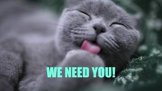 Bounty Non Profit App - For a better animal welfare screenshot 4