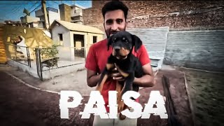 Rottweiler Agaya Paisa Shehr Mein Dehat Video Editing 