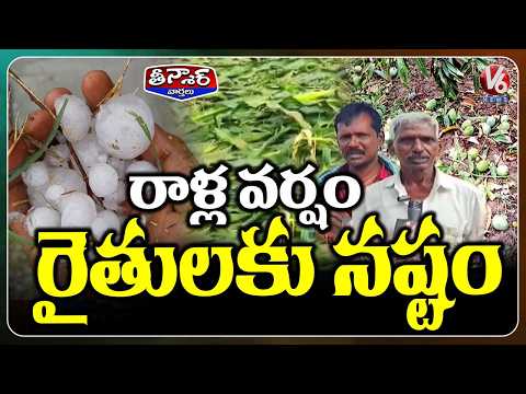Hailstorm Rain In Telangana, Huge Loss For Farmers |  V6 Teenmaar - V6NEWSTELUGU