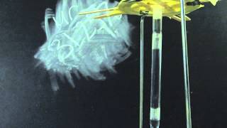 31.25% methyl cellulose in capillary tube viscometer
