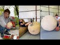 Dylan Ayres Rubber Band Ball Compilation Part 2 (100-770LBS!!)