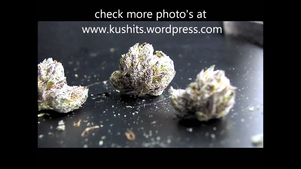 master kush, hash oil, amber glass, orange county 1080p