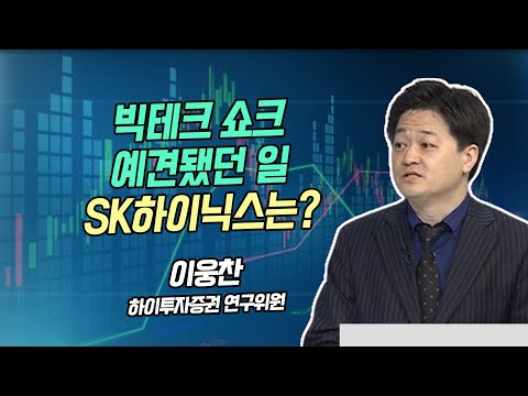 [시황의 해설자들] 빅테크 쇼크 예견됐던 일 SK하이닉스는? / 머니투데이방송 (증시, 증권)