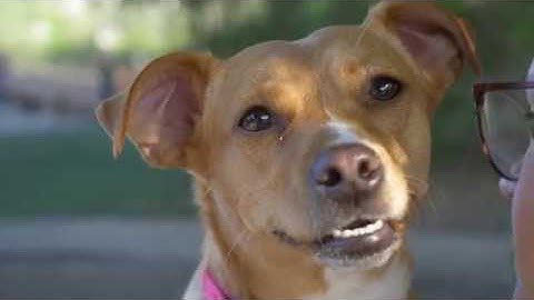 Saturday Afternoon at Bar K