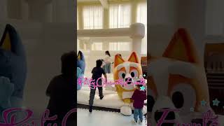 Information BINGO  AND BLUEY FOR KIDS BIRTHDAY PARTY714-818-4940www.instagram.com/partycharacterevents News