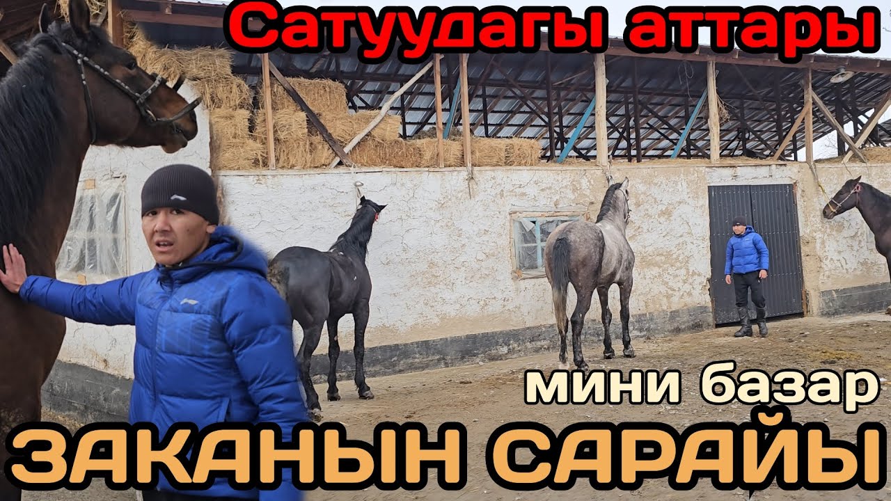 ЗАКАНЫН САРАЙЫ 🔥САТУУДАГЫ АТТАРЫ