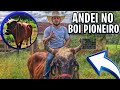 ANDEI NO BOI PIONEIRO SERÁ QUE ELE DEU TRABALHO....