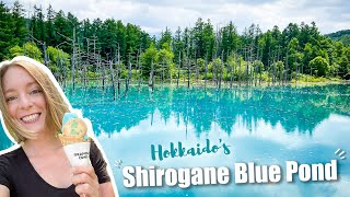 Hokkaido's famous Shirogane BLUE POND is it worth going?