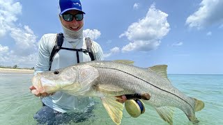 Fly Fishing for Snook on the Beaches of Florida - Flylords Mag