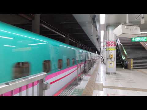 東北新幹線 やまびこ59号 盛岡行き E5系 2021.08.29
