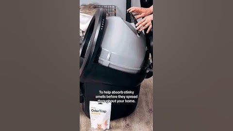 STOP litter box odors 🛑