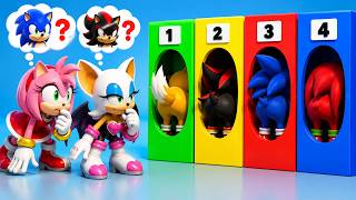 Amy & Rouge Find SONIC and SHADOW?! Who’s Hiding? | Sonic the Hedgehog 3 Animation