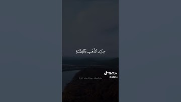 "زين للناس حب الشهوات" الآية 14 من آل عمران 🌙 #إيجابية #قرآن