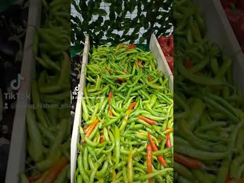 احنا الصنف الغالي الفاخر Artistahmedadel