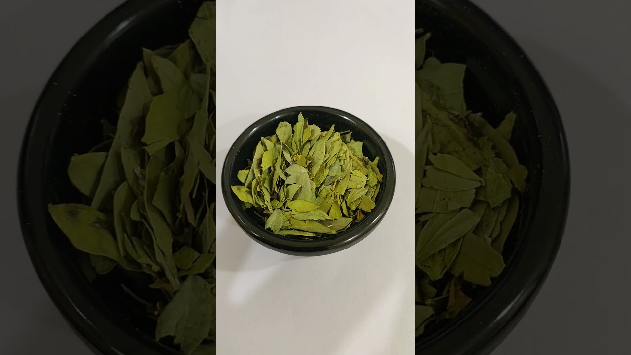 Sonamukhi Powder/Seena Powder Indian Senna/सोनामुखी पाउडर/Cassia angustifolia