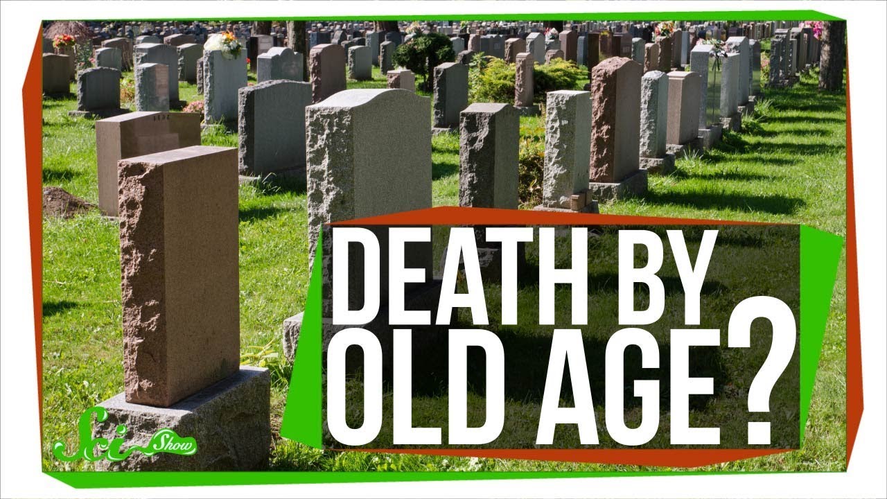 Can You Really Die Of Old Age YouTube