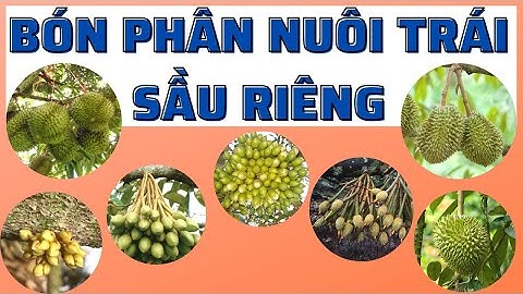 Sử dụng phân bón đúng cách