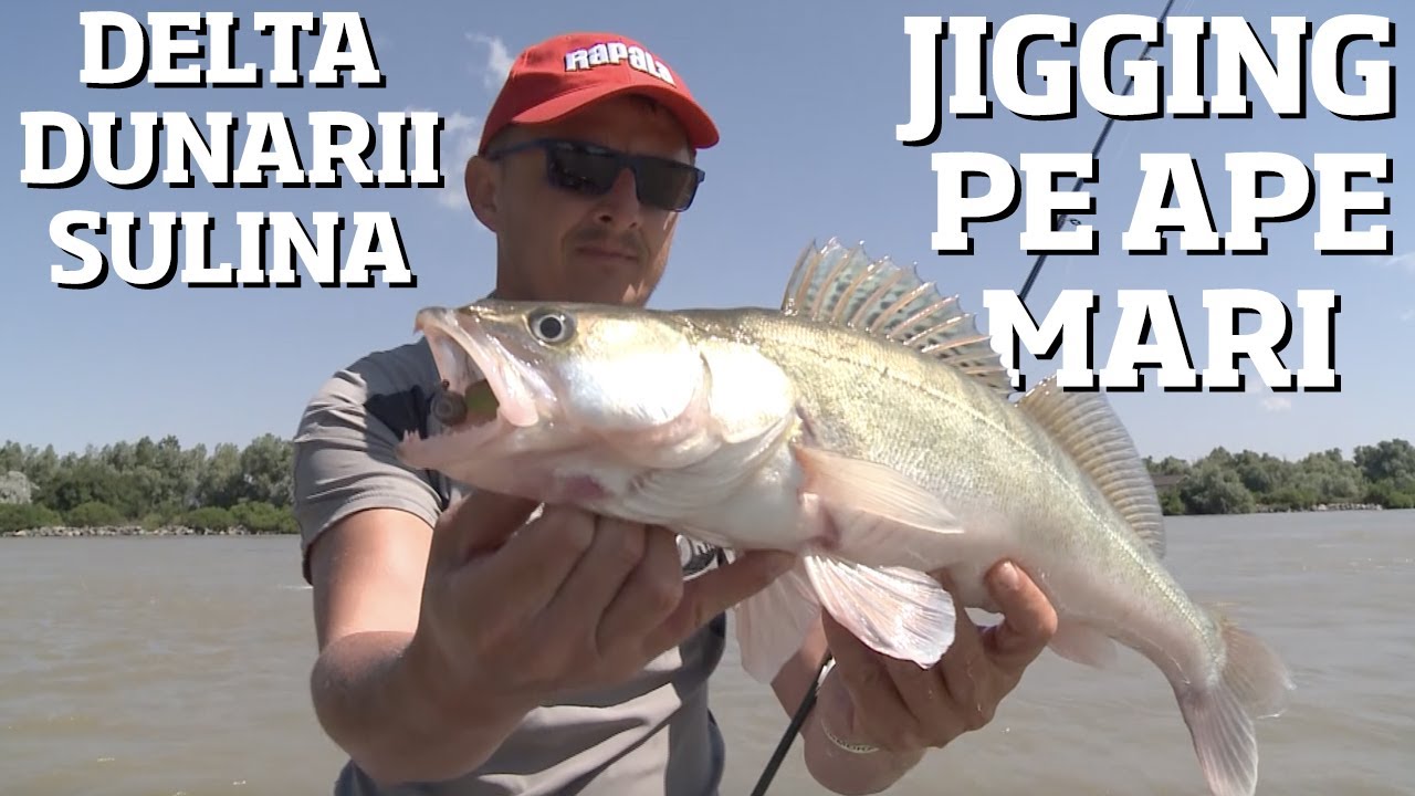 Pescuit la salau pe Bratul Sulina cu Adelin Avram