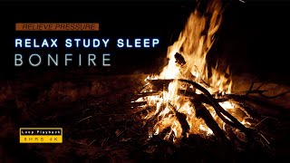 篝火 营火 劈劈啪啪的篝火声 帮助你的睡眠 学习 阅读 治愈 放松 缓解压力 放松精神 消除疲劳 冥想 发呆 集中 专注 白噪声 休闲