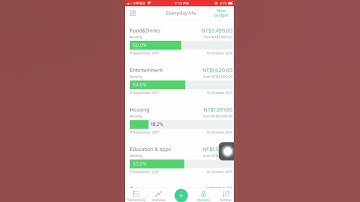 Daily App Observation - Spendee #1