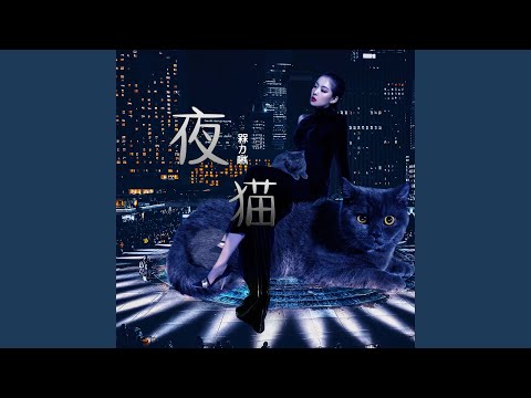 夜猫