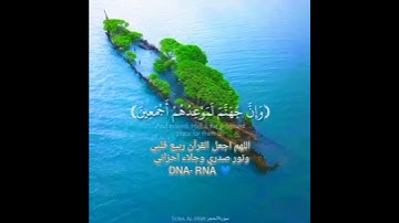 تلاوة خاشعة |بصوت الشيخ هزاع البلوشي |حالات واتس قصيره
