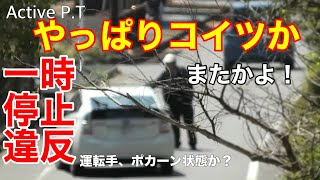止まれないプ◯ウスの伝説は本当か?やっぱりやらかすあの車、どうにかならんか⁈