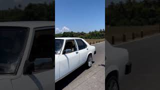 Classic Never Dies – Rent the Legendary Contessa | Leona Classic Car Rentals | WeddingsDeGoa