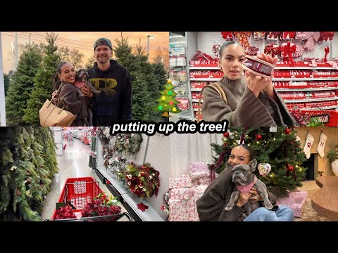 Putting up the tree + decorating the house for christmas | vlogmas 2025