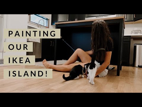 Day in the life | Painting kitchen Island + organizing cabinets - YouTube