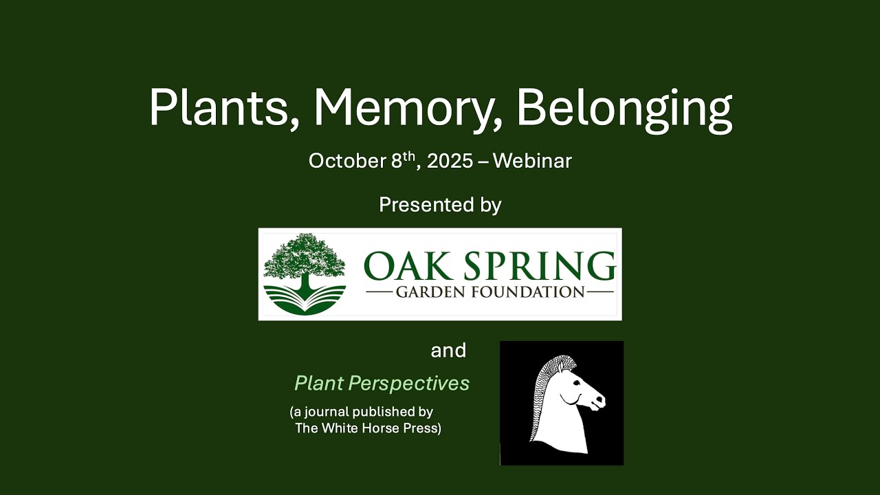 Plants, Belonging, Memory