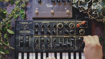 Arturia MicroBrute + Strymon TimeLine | Ambient Chill Jam