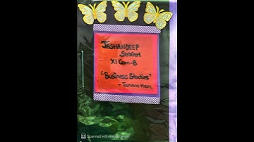 Class 11th business studies project on- sole proprietorship