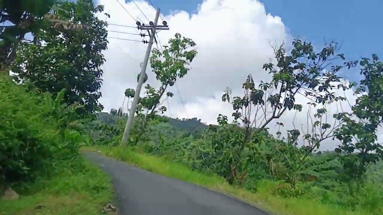 Keindahan alam Desa mulyorejo dusun Baban Barat