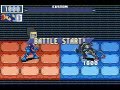 Mega Man Battle Network 6 Cybeast Gregar - Boss Run (No Damage)