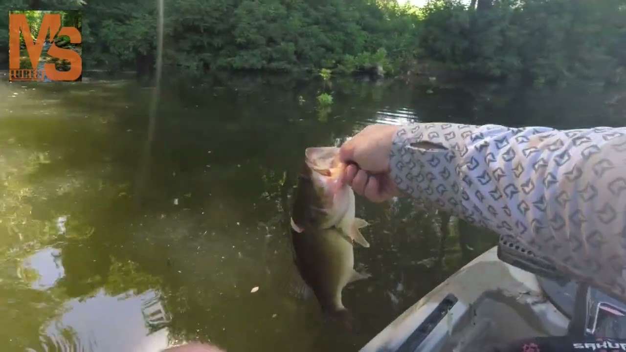 Kayak Bass fishing in Croatia