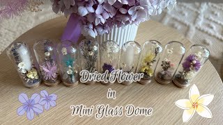 Dried flowers in Mini Glass Dome - DIY