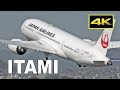 [4K] Plane Spotting 2021 - Osaka Itami Airport / 大阪 伊丹空港 JAL ANA